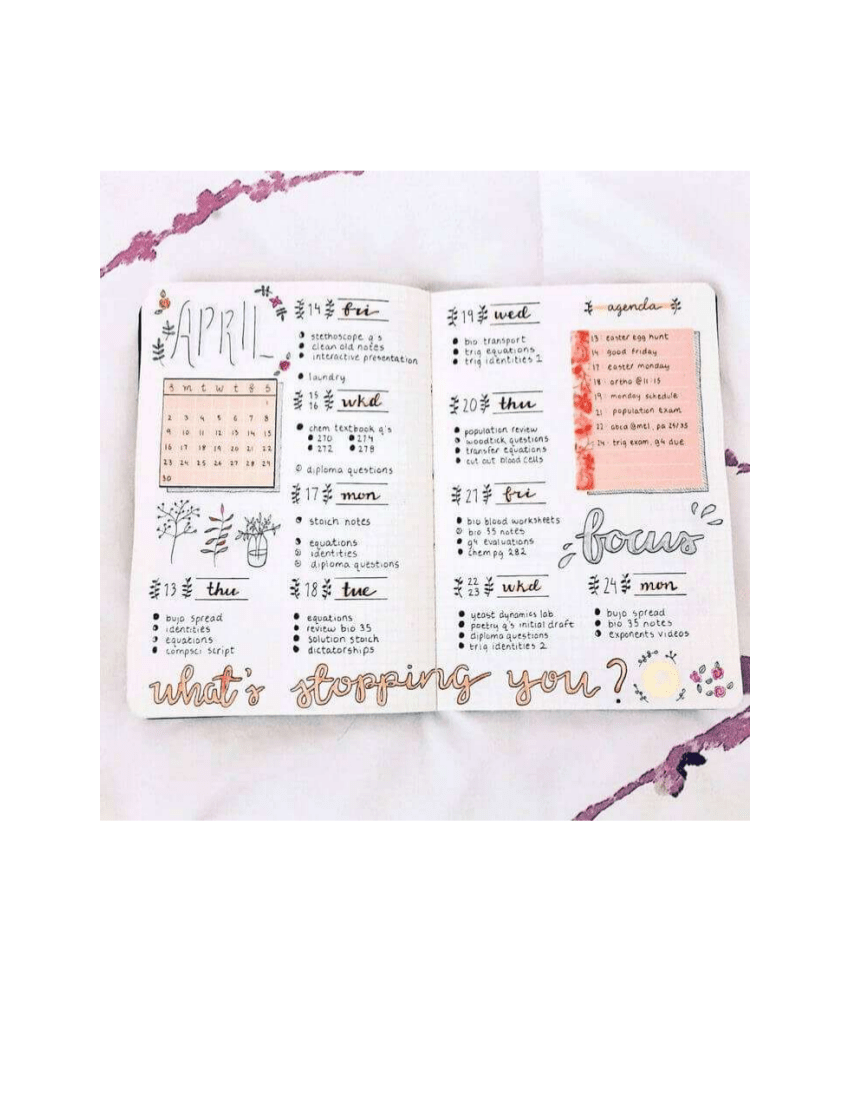 Bullet Journal 10+ Examples, Format, Pdf Examples