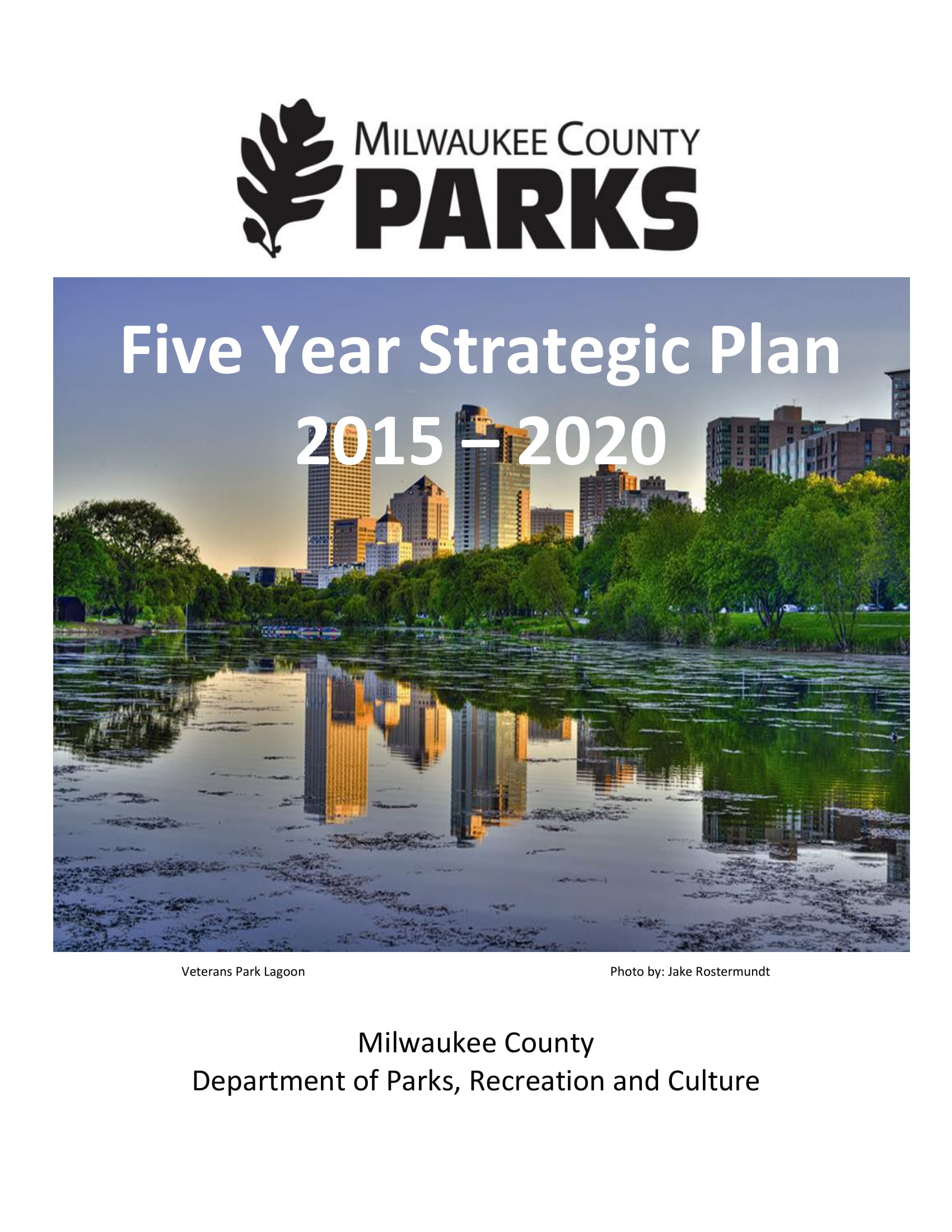 5Year Strategic Plan Examples, Format, Pdf