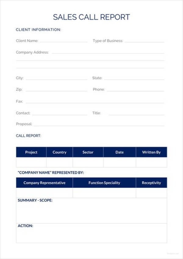 8+ Sales Call Report Examples PDF