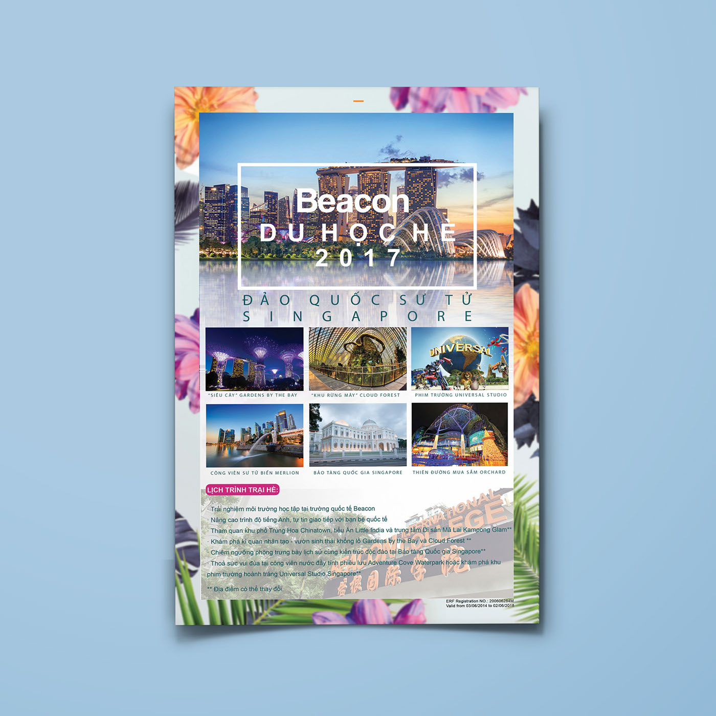 24+ Educational Brochure Examples, Templates AI, Google Docs, Apple