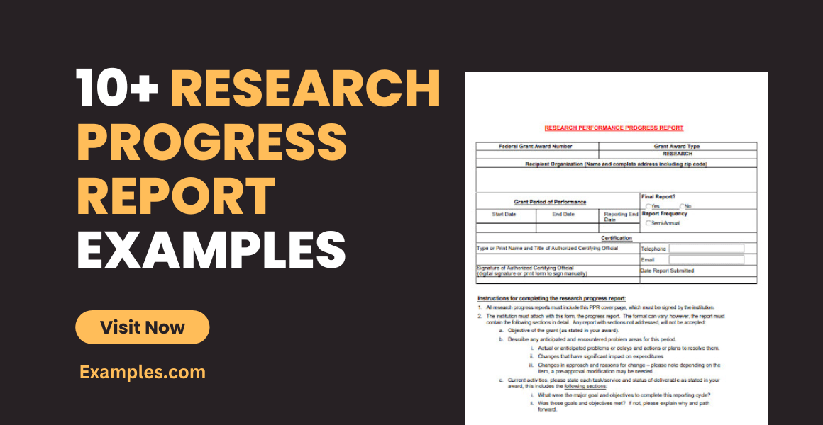 Research Progress Report 10+ Examples, Format, How to Write, Pdf