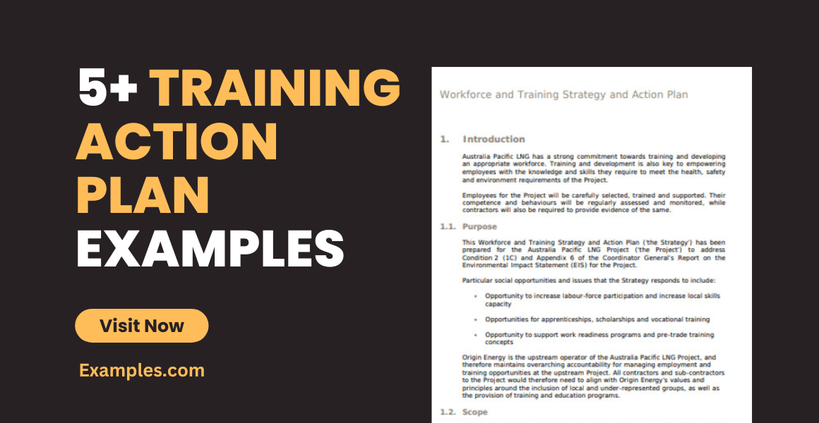 Training Action Plan Examples, Format, Pdf