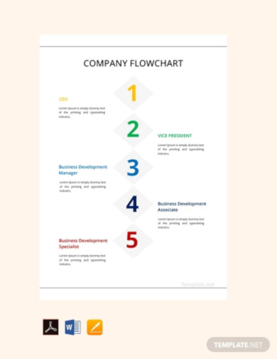 13+ Company Flow Chart Examples to Download