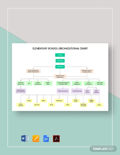 26+ School Organizational Chart Examples to Download