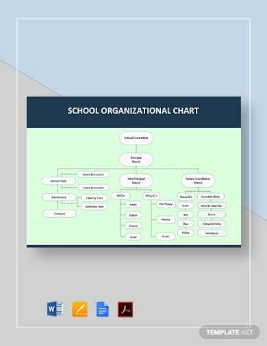 26+ School Organizational Chart Examples to Download