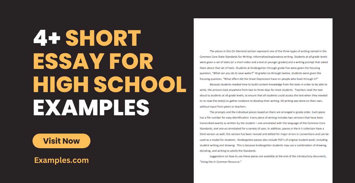 Short Essay for High School Examples, Format, Pdf, Tips