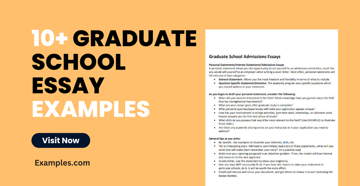 Graduate School Essay 10+ Examples, Format, How to Write, Pdf