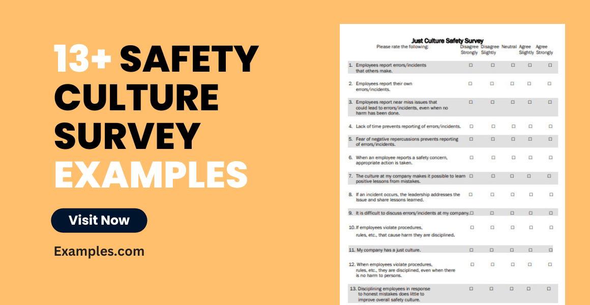 Safety Culture Survey 13+ Examples, Format, How to Conduct, Pdf