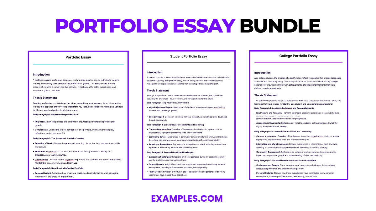 Portfolio Essay 13+ Examples, Format, Pdf Examples