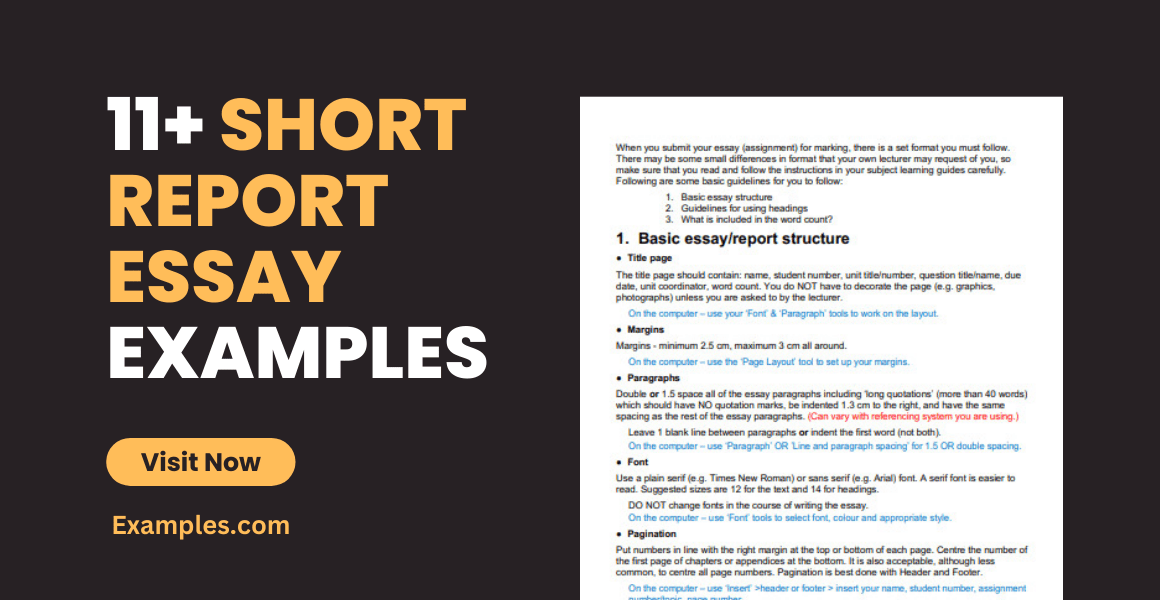Short Report Essay 11+ Examples, Format, How to Write, Pdf