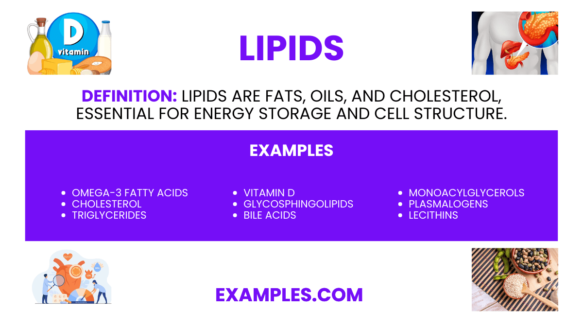Lipids 20+ Examples, Format, How to Reduce, PDF