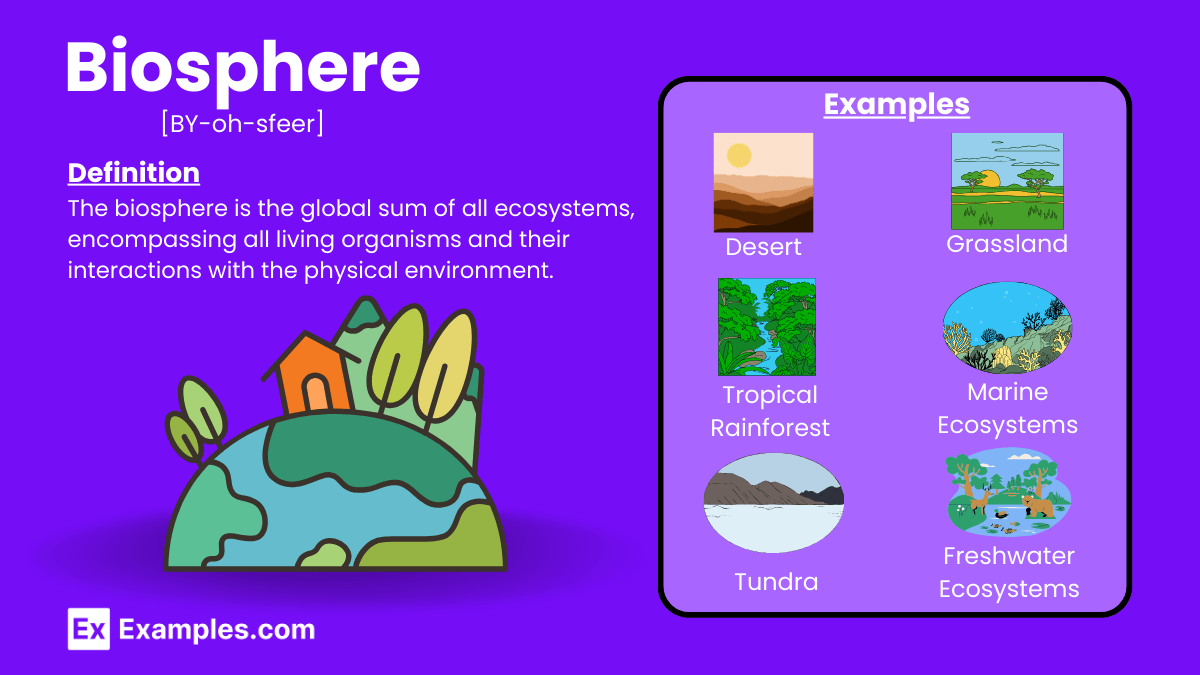 60+ Biosphere Examples