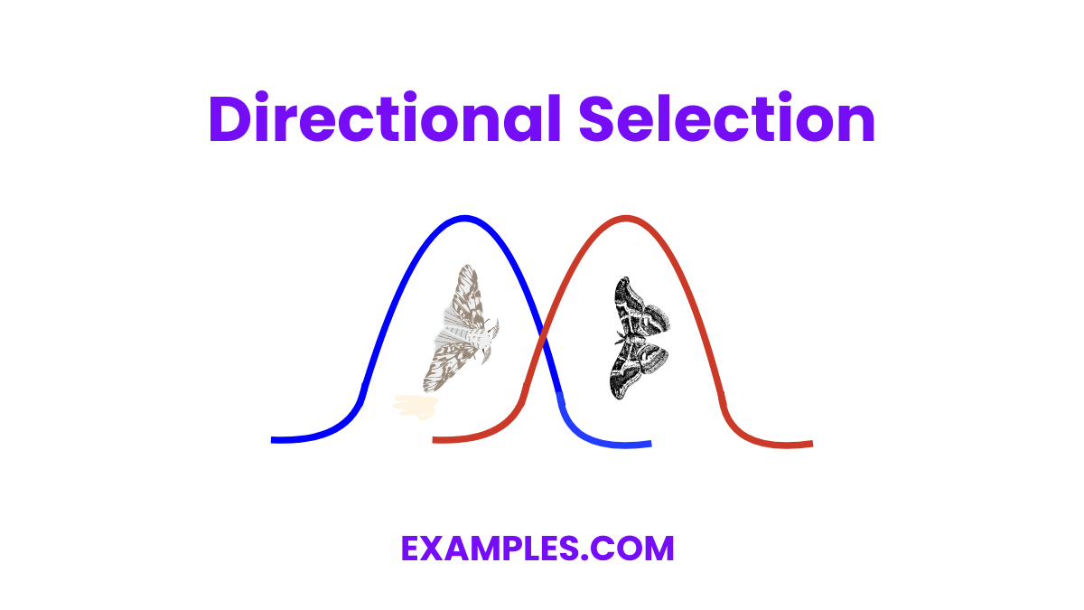 Natural Selection 20+ Examples, How to Check, PDF