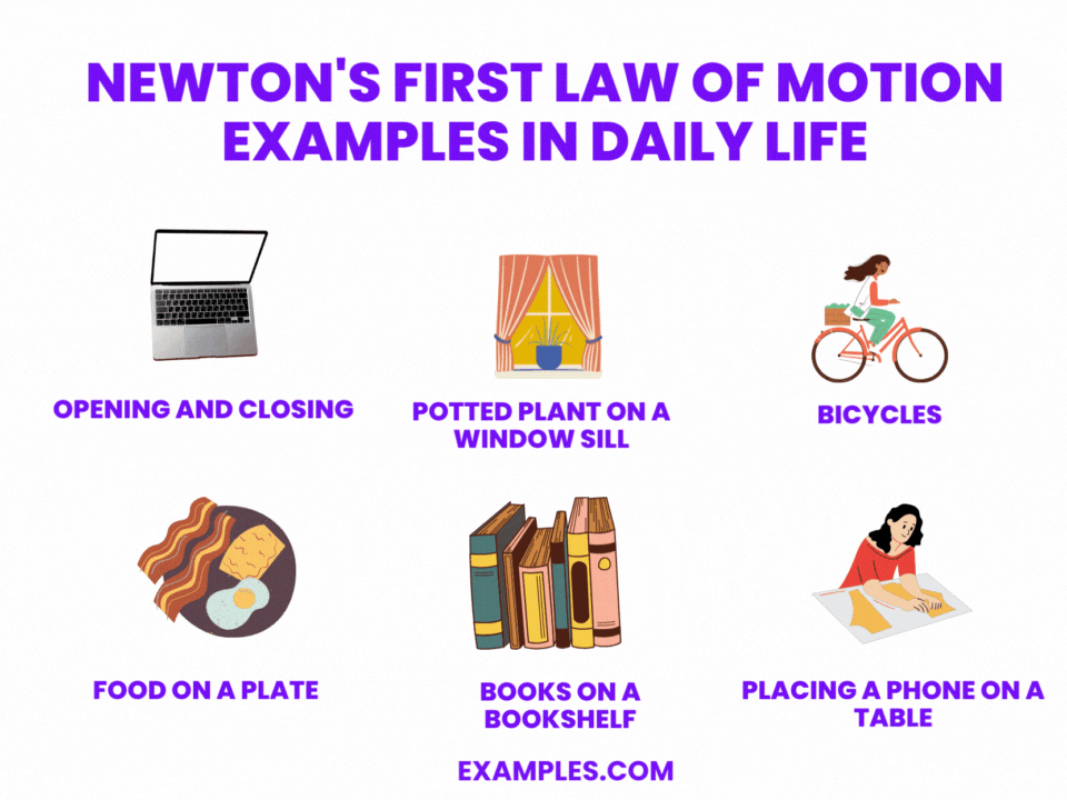 Newton's First Law of Motion 20+ Examples, How to Solve