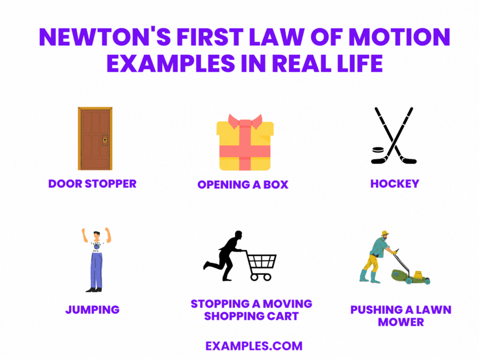 Newton's First Law of Motion 20+ Examples, How to Solve