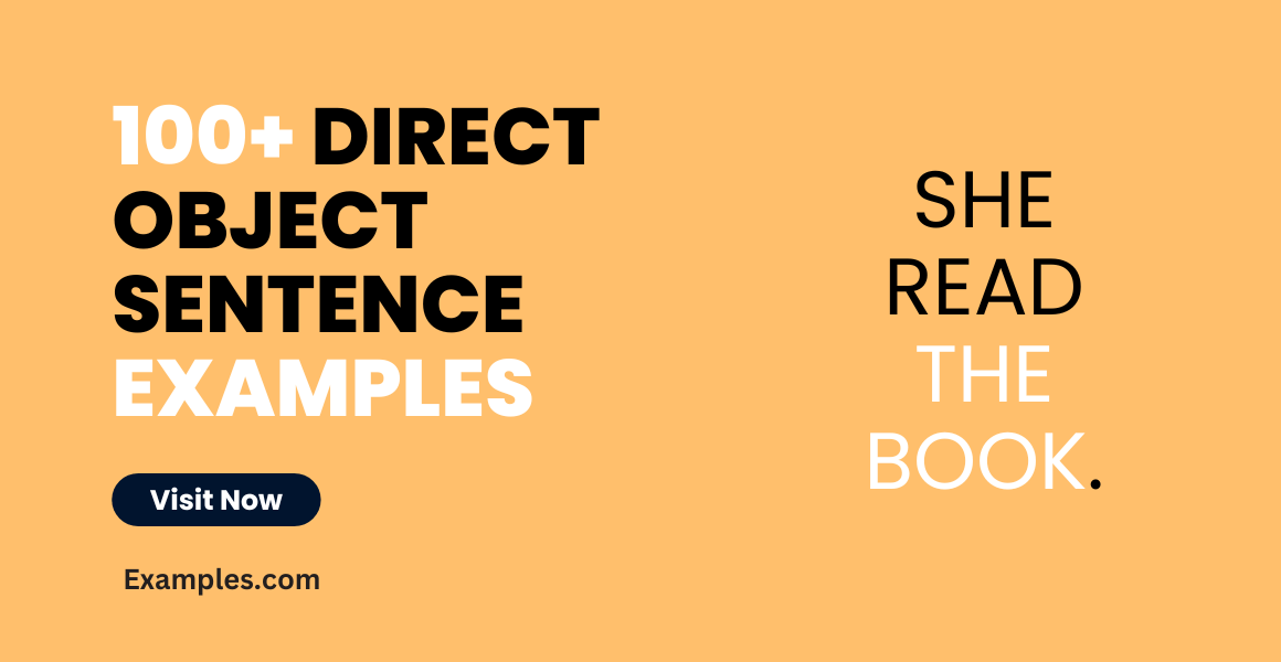 99+ Direct Object Sentence Examples