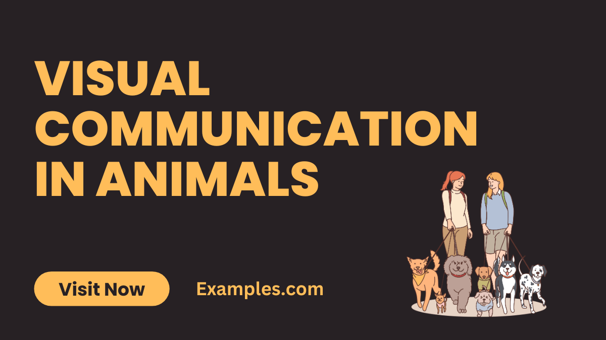 Visual communication in Animals 19+ Examples