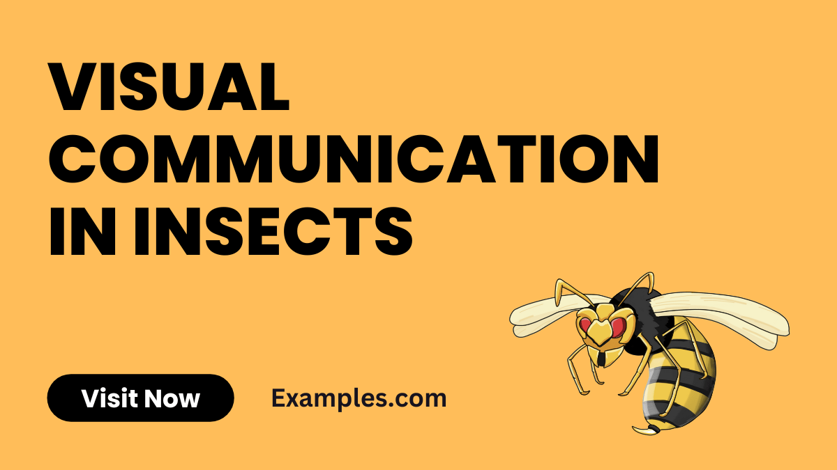 Visual Communication in Insects Examples , Pdf