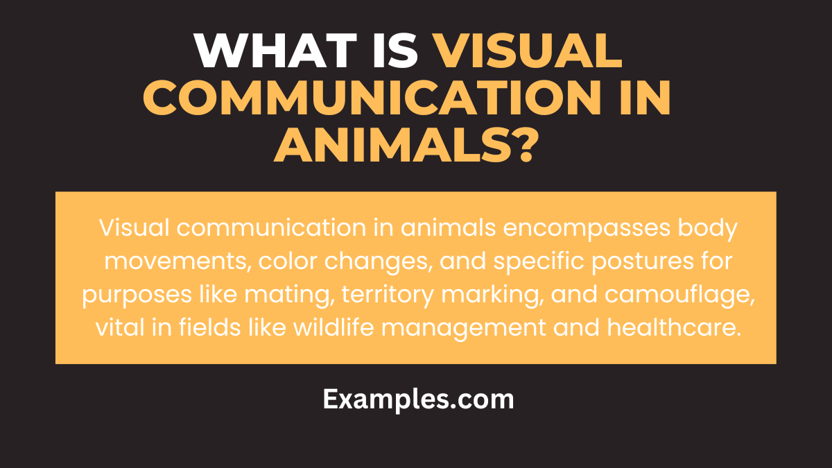 Visual communication in Animals 19+ Examples