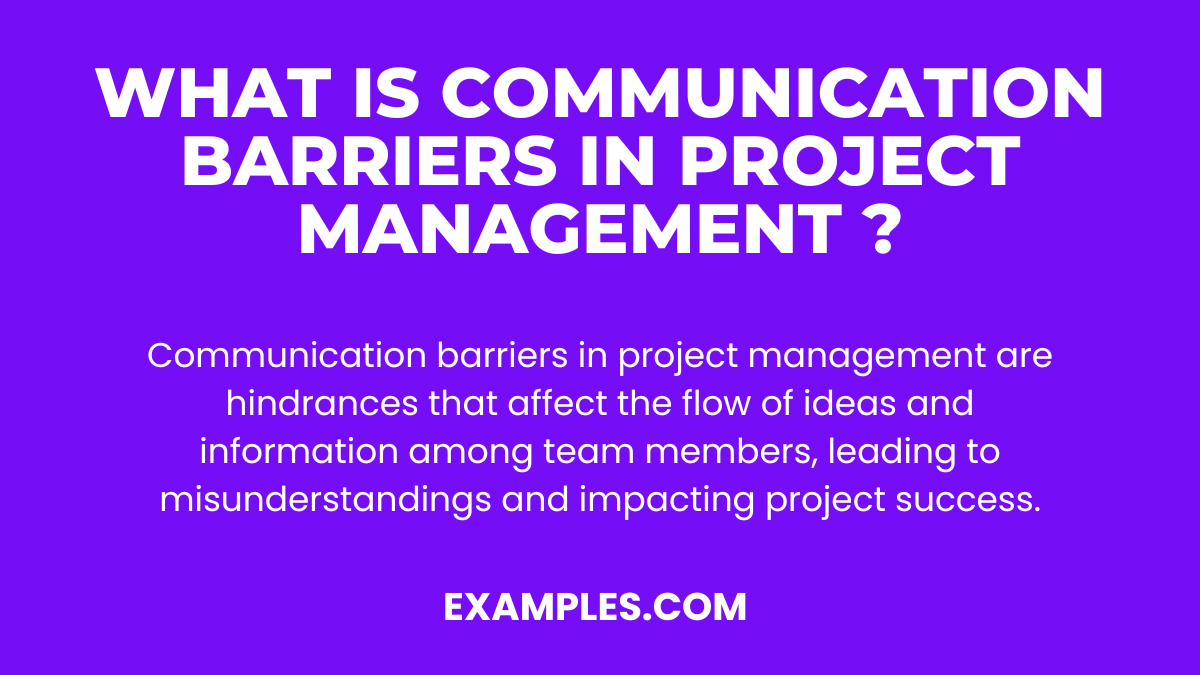 Communication Barriers in Project Management Examples, PDF