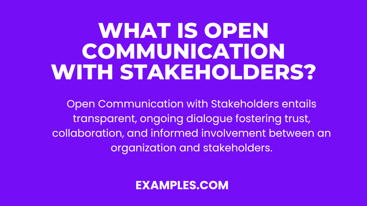 Open Communication with Stakeholders Examples, PDF