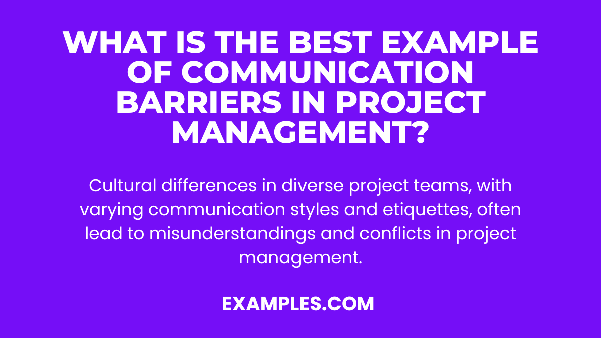 Communication Barriers in Project Management Examples, PDF