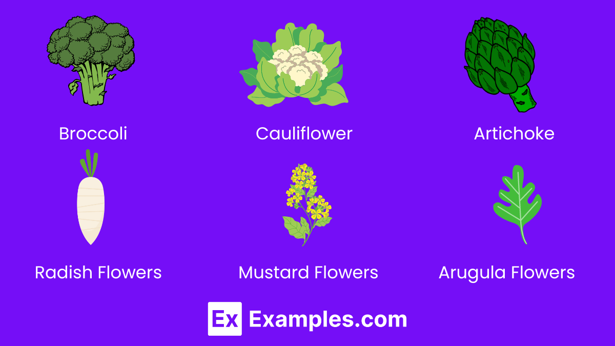 100+ Vegetable Names Meaning , Types, Uses, PDF