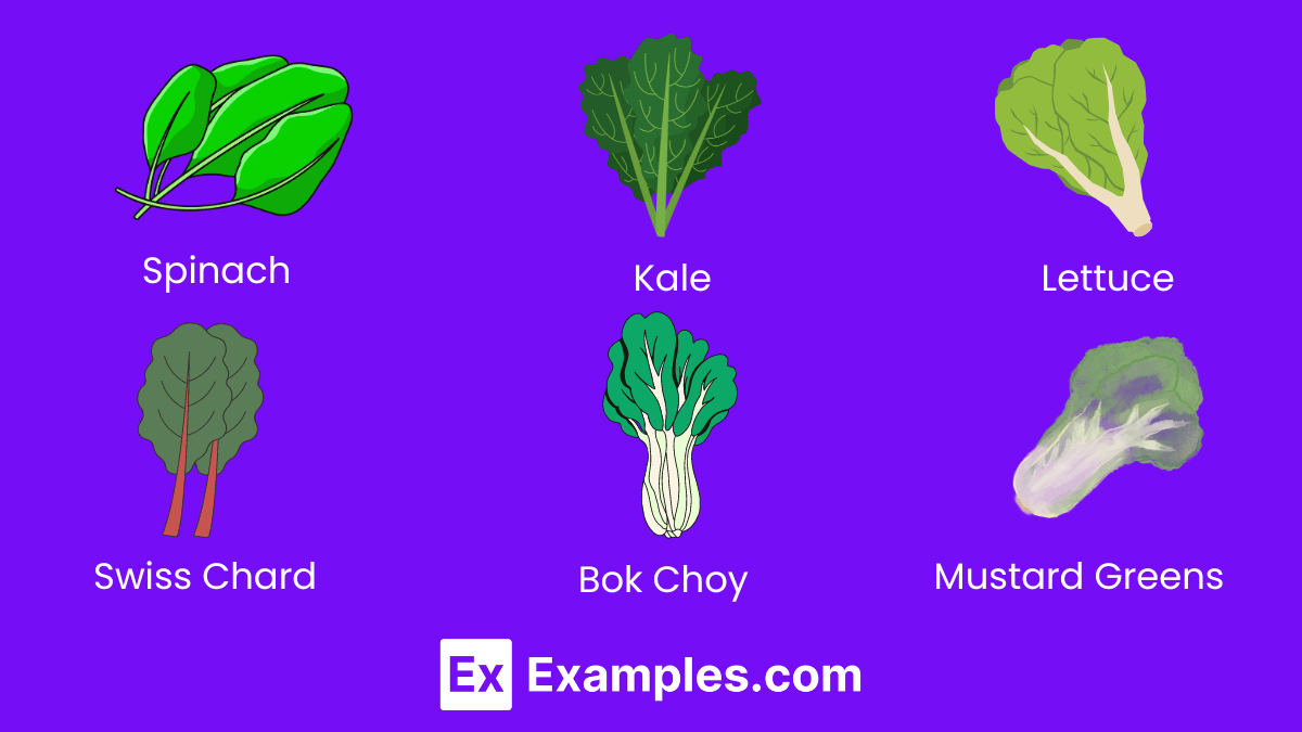 100+ Vegetable Names Meaning , Types, Uses, PDF