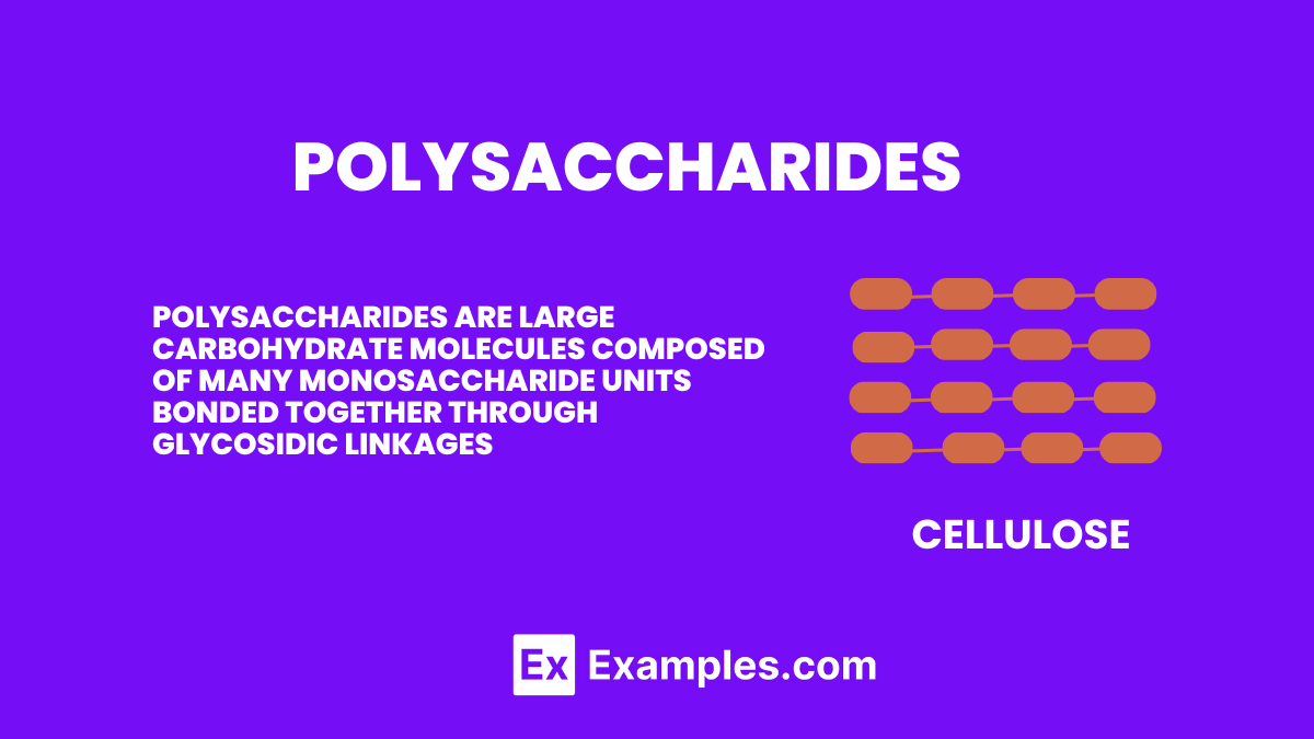 Polysaccharide, Definition, Types, Characteristics, Functions