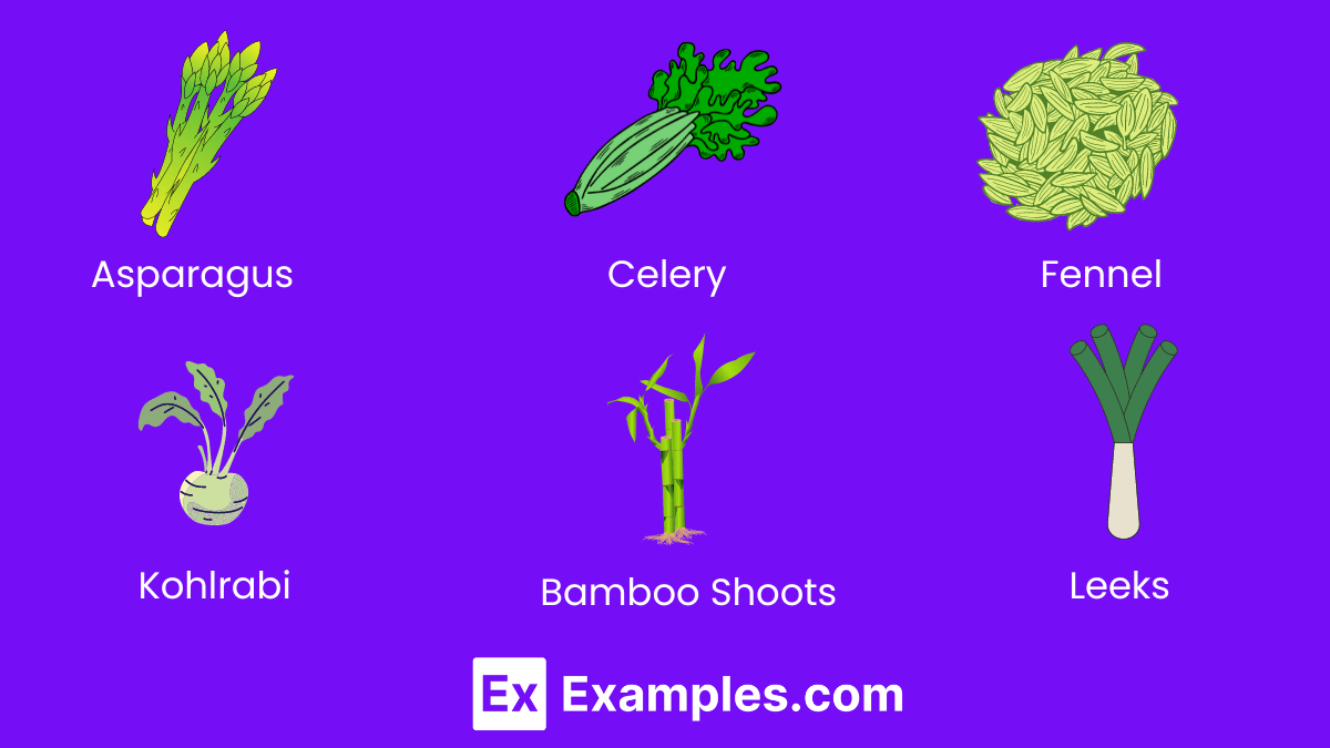 100+ Vegetable Names Meaning , Types, Uses, PDF