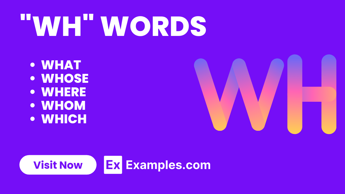 450+ WH Words List, Meaning, PDF