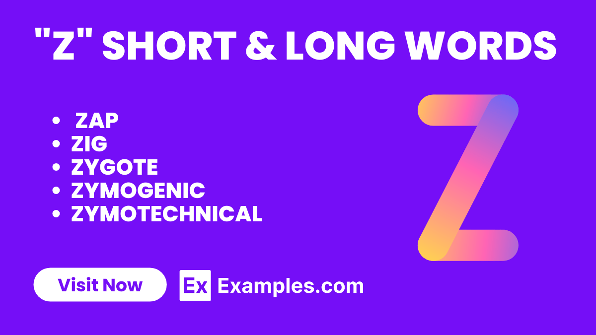 450+ Z Short & Long Words Meaning, PDF