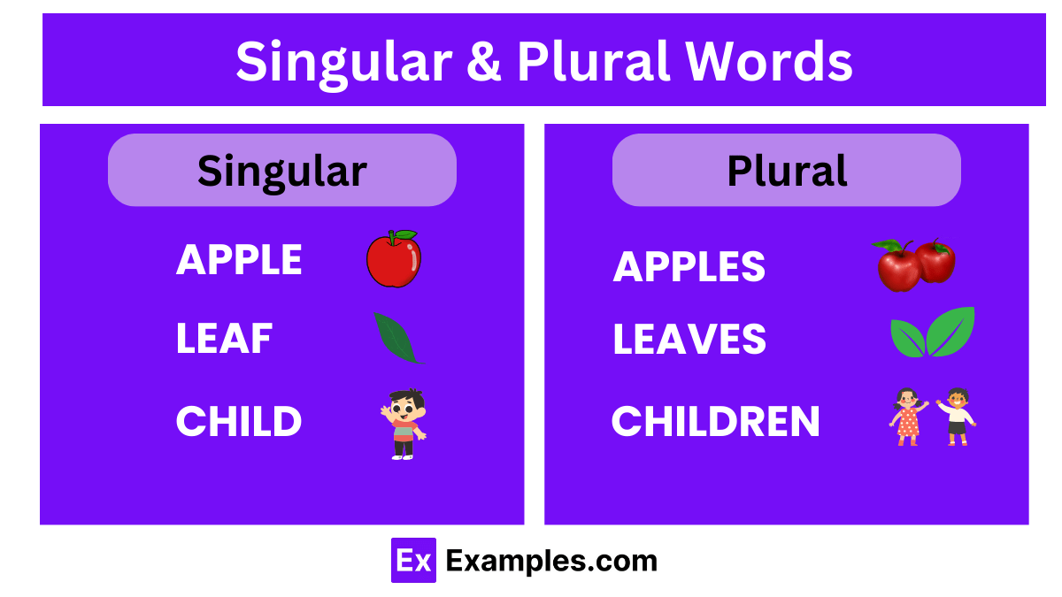 450+ Singular & Plural Words: Meaningss , Rules, PDF