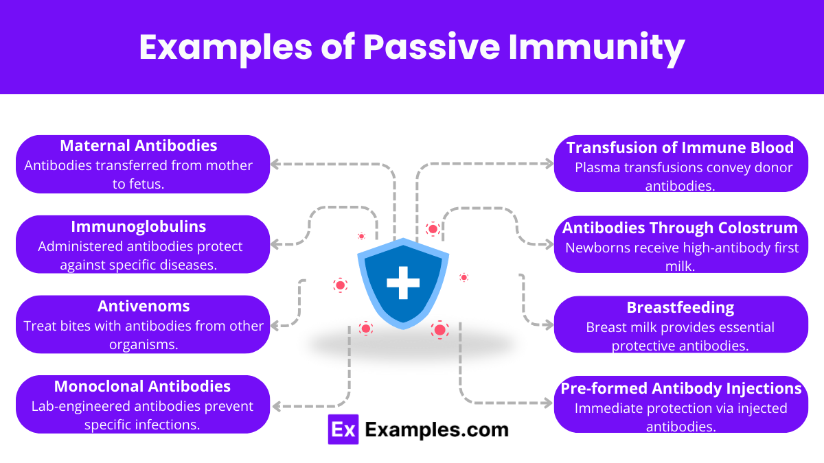 Passive Immunity Types, Examples, Functions, Sources, History.
