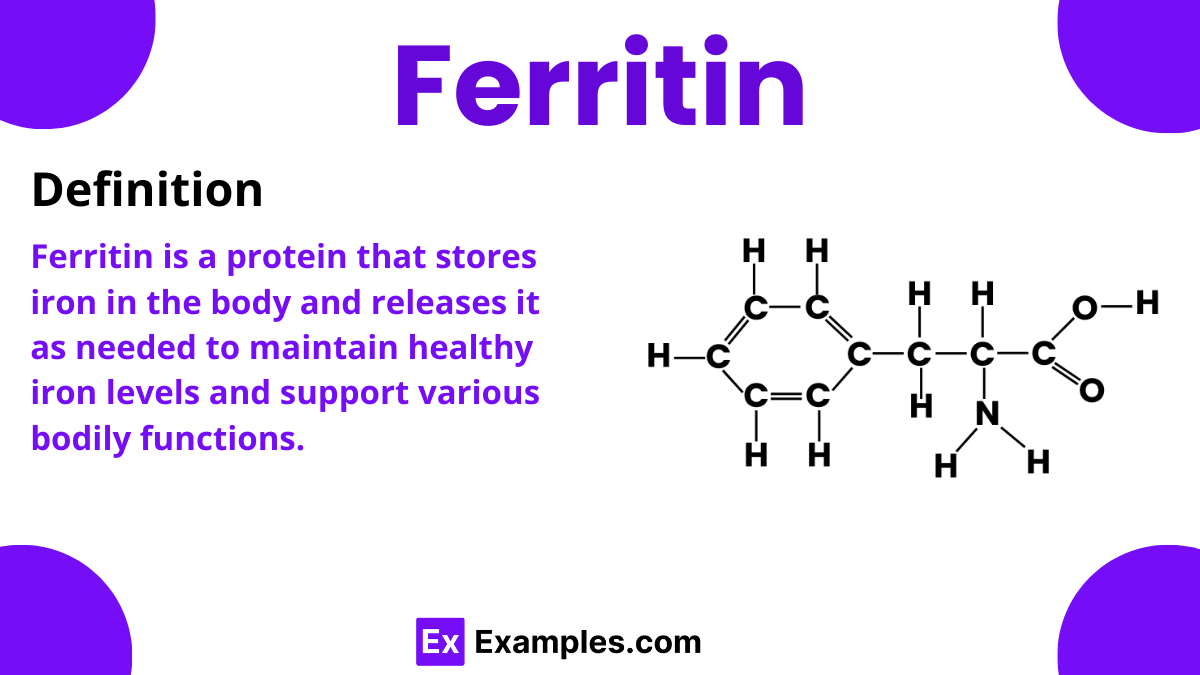 Ferritin Definition, Structure, Functions, Effects