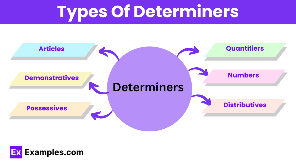 Determiners 15+ Examples, Meaning, Types, Uses, Rules