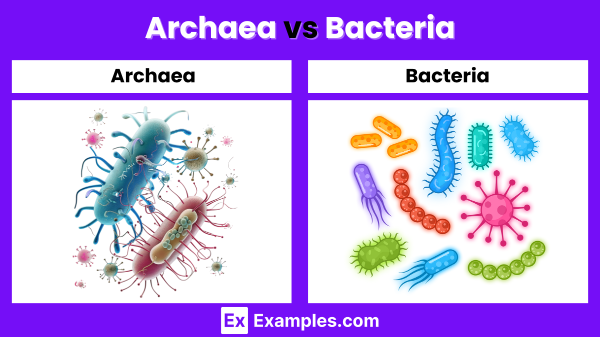 Archaea vs Bacteria - Differences Explained with Examples