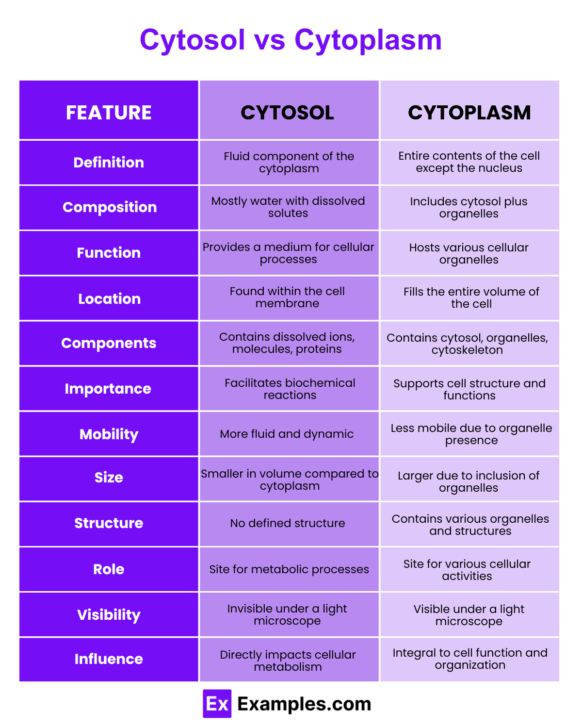 Cytosol vs Cytoplasm - Differences Explained with Example