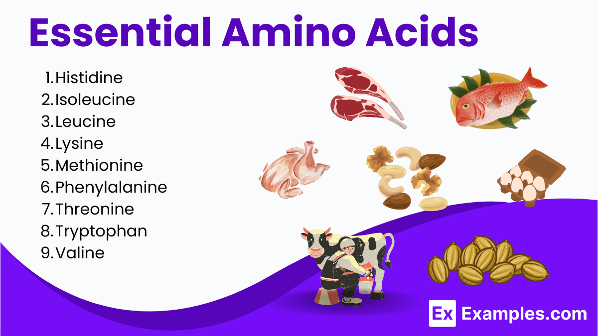 Essential Amino Acids Definition, list, Structure, Benefits, Sources