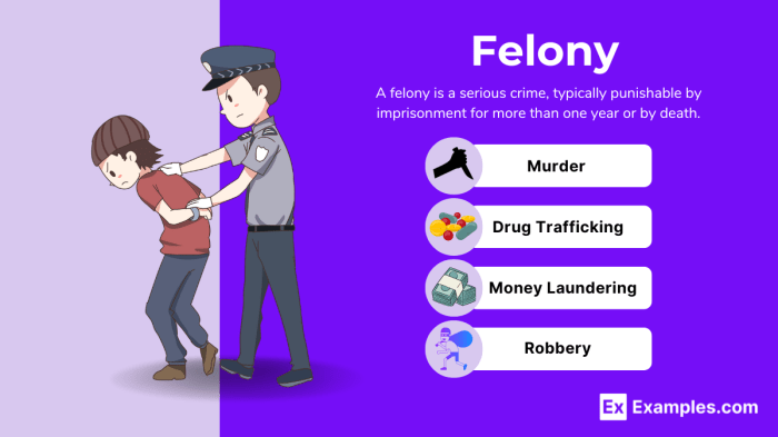 Felony Vs Crime - Lexinter