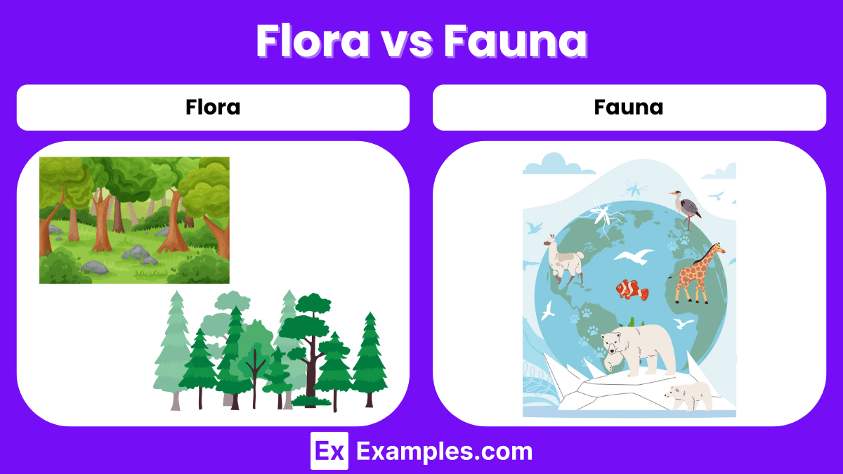 Flora vs Fauna Differences Explained with Examples
