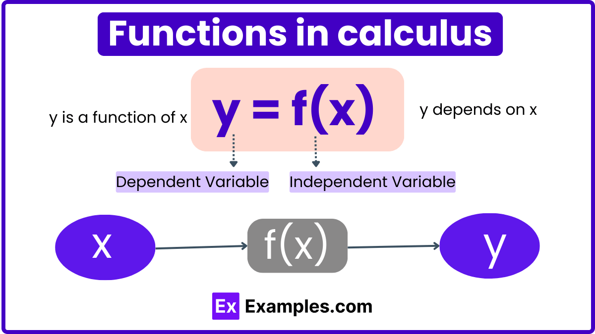 Calculus Definition, Branches, Functions
