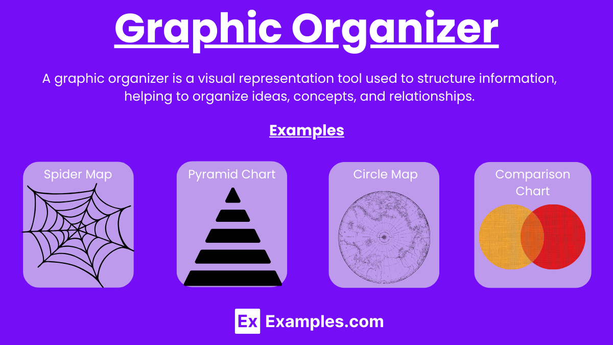 20+ Graphic Organizer Examples to Download