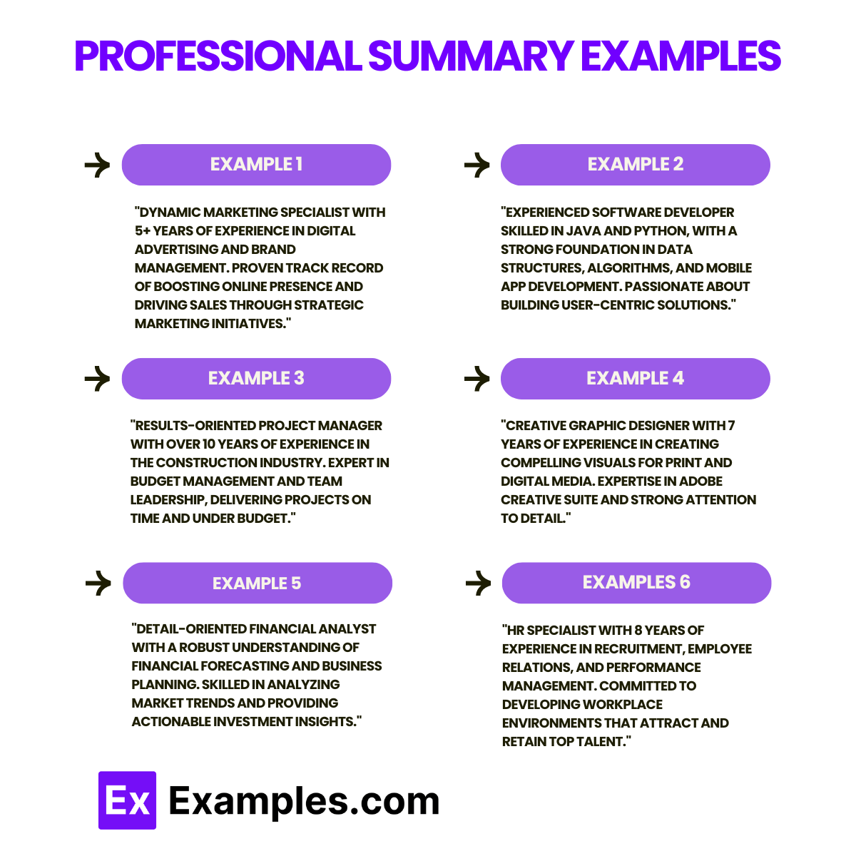 Professional Summary 100+ Examples, How to Write, Tips & More