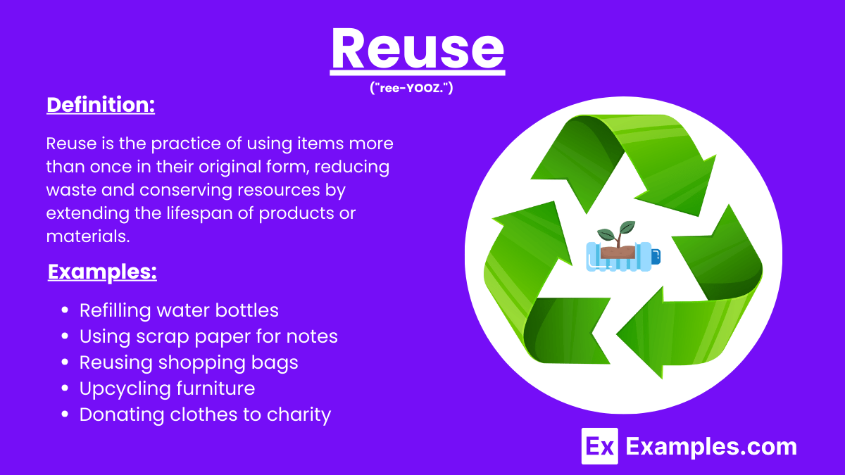 Reuse - 25+ Examples, Essentials, Benefits, Difference