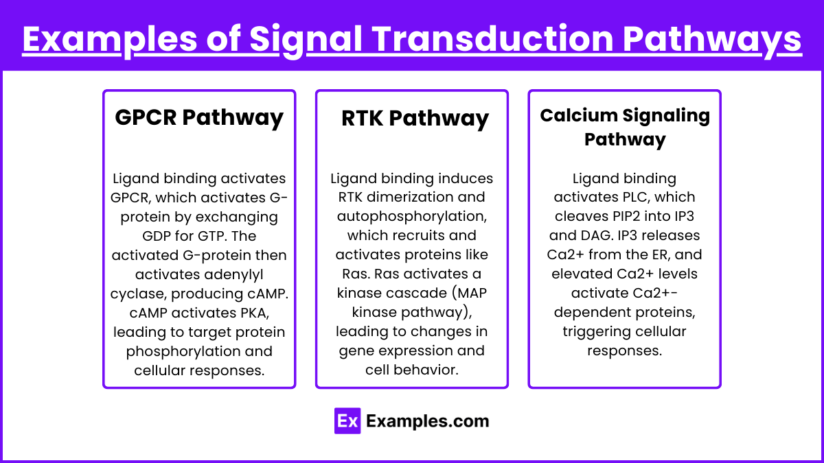 Unit 4.1 The Mechanisms of Cell Communication (Notes & Practice