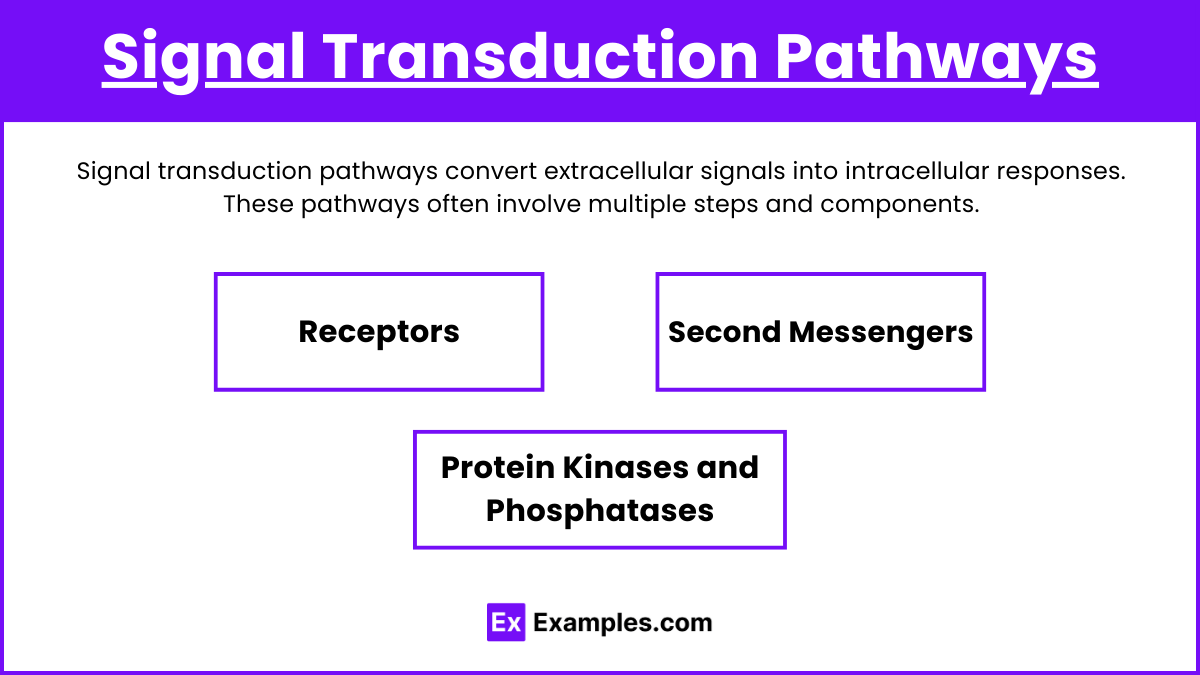 Unit 4.1 The Mechanisms of Cell Communication (Notes & Practice