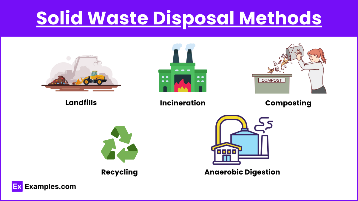 Solid Waste Disposal and Waste Reduction Methods Examples