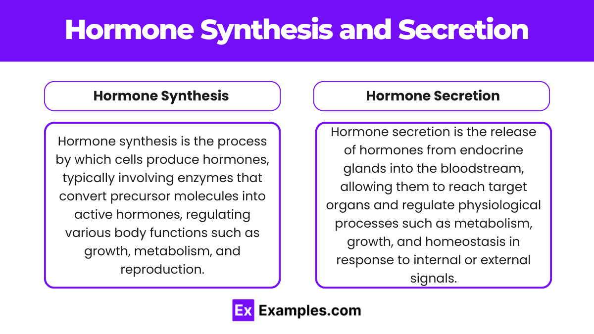 Endocrine system and hormonal regulation (Notes & Practice Questions