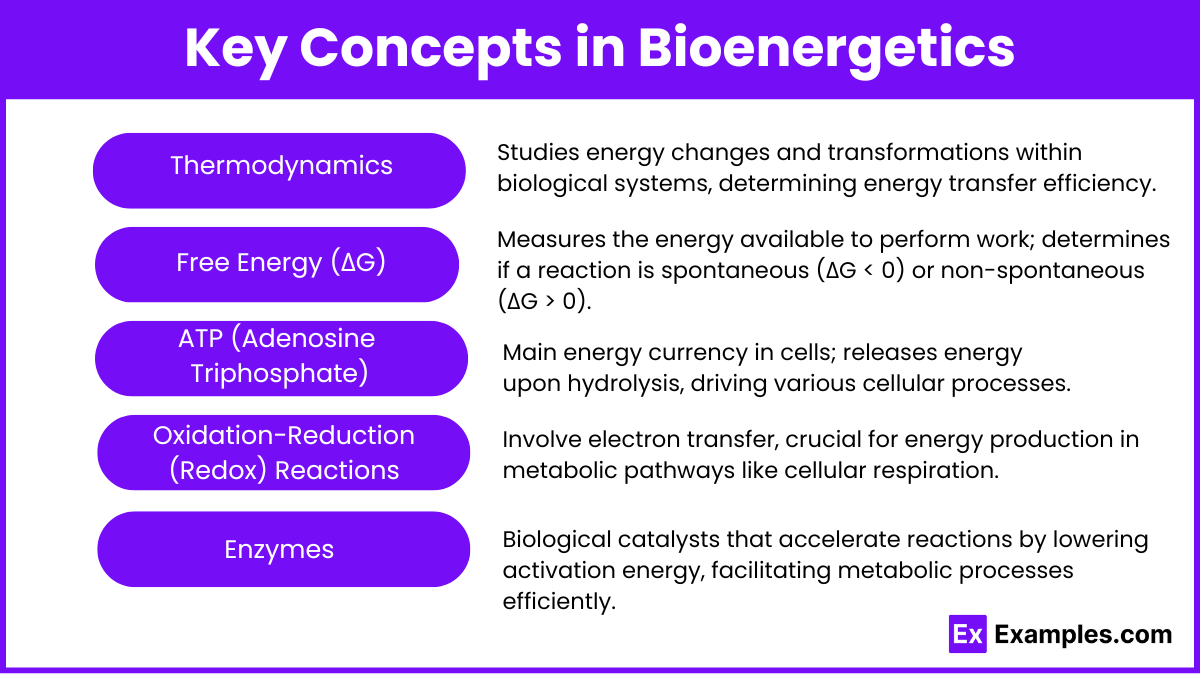 Principles of Bioenergetics (Notes & Practice Questions) MCAT Examples